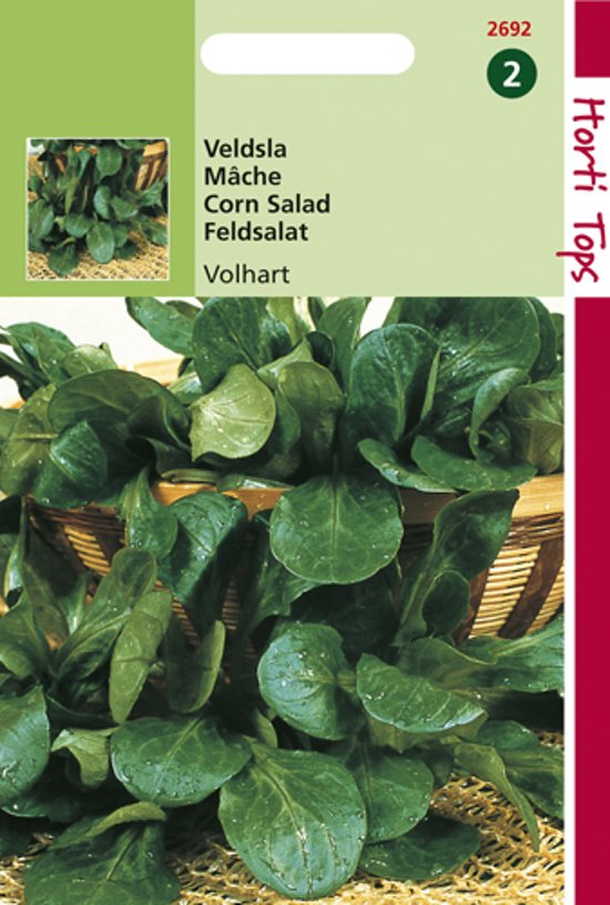 Feldsalat Vollherziger 2 (Valerianella) 5000 Samen HT